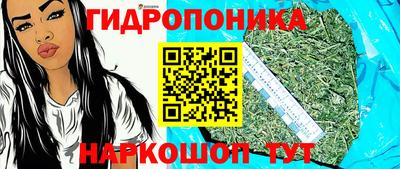 гашик Краснознаменск