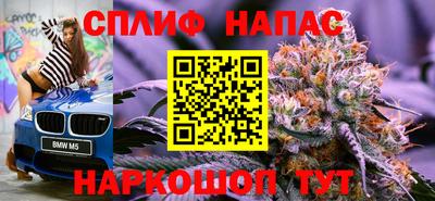 гашик Краснознаменск