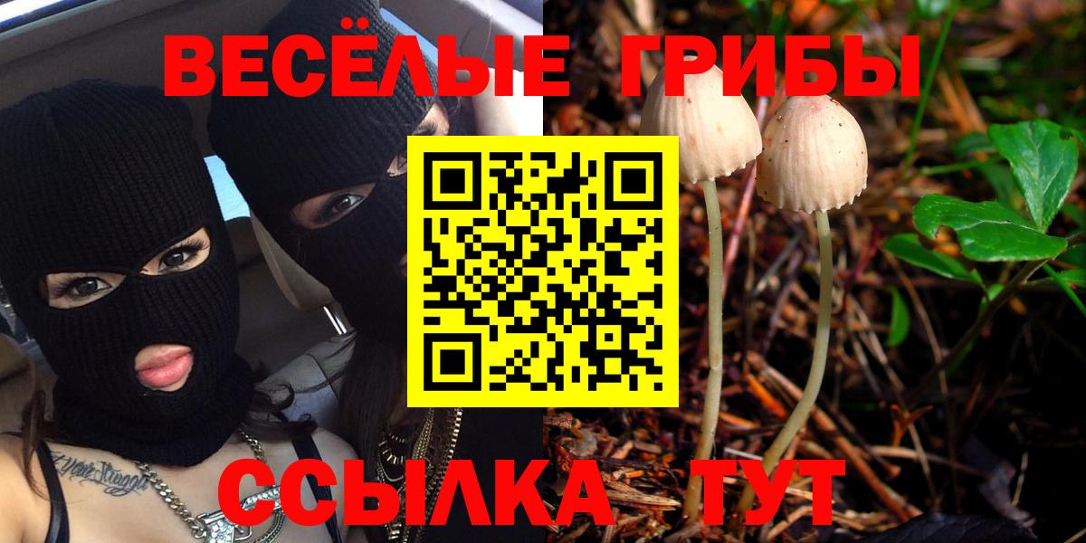 Кашира  Галлюциногенные грибы Psilocybe  Вход с VPN 