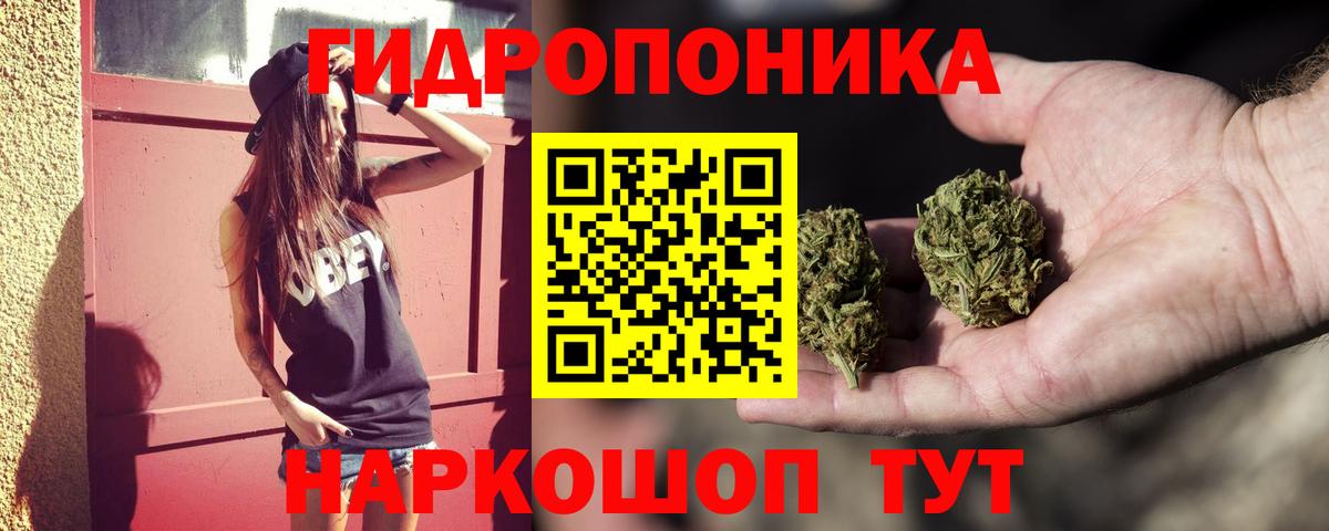 Кашира  Бошки Шишки гибрид  Вход с VPN  Марихуана Amnesia  МАРИХУАНА LSD WEED 